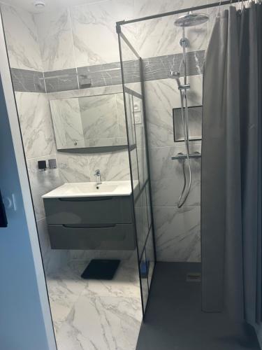 La salle de bains blanche est pourvue d'un lavabo et d'une douche. dans l'établissement Dépendance région bordelaise, à Saint-Loubès