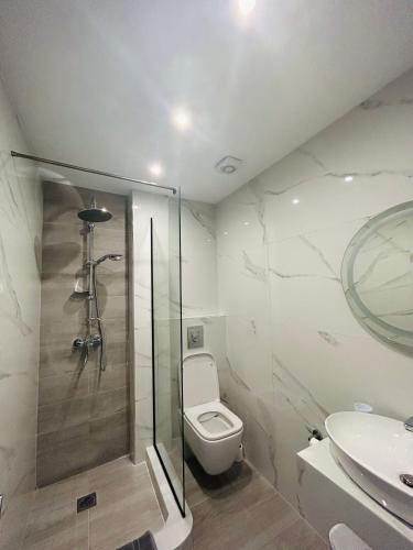 a bathroom with a shower and a toilet and a sink at Chrisanthi Apartments in Archangelos
