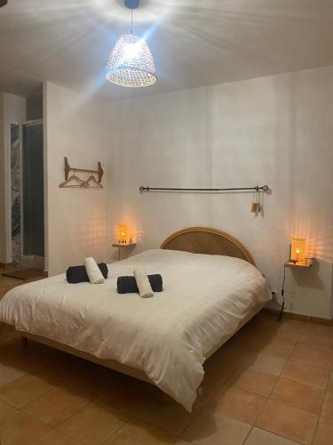 ein Schlafzimmer mit einem großen weißen Bett mit zwei Kissen in der Unterkunft La maison Provençale in Cotignac