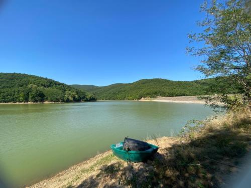 a blue boat sitting on the shore of a river at Zeleni Dvor in Ribarska Banja