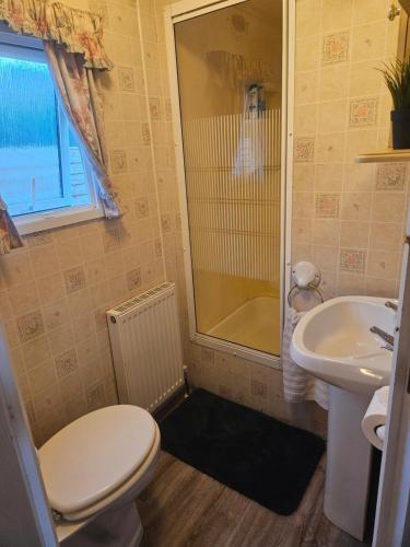a bathroom with a toilet and a sink at Mount bolton mobile home in Portlaw