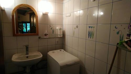 W łazience znajduje się umywalka, toaleta i lustro. w obiekcie Stone cottage 