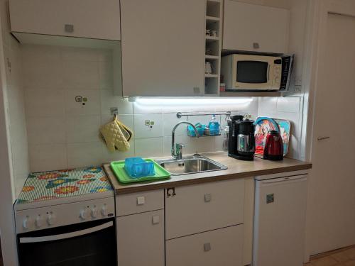 une petite cuisine avec un évier et un micro-ondes dans l'établissement Charmant appartement 36m² 4 pers, balcon plein sud, pied des pistes - Villard-de-Lans - FR-1-689-121, à Villard-de-Lans