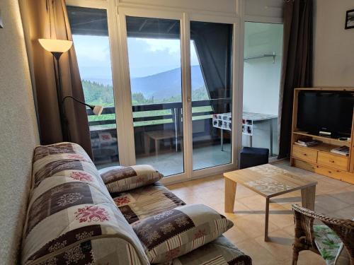 un salon avec un canapé et une télévision dans l'établissement Charmant appartement 36m² 4 pers, balcon plein sud, pied des pistes - Villard-de-Lans - FR-1-689-121, à Villard-de-Lans
