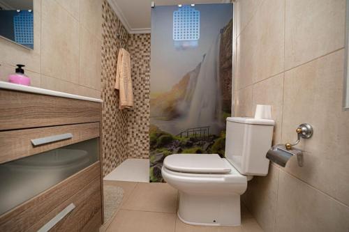 a bathroom with a toilet and a mural of a waterfall at MiraLeón in León