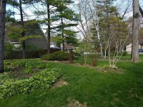 un patio con césped verde, árboles y plantas en LH Guest house, en Lake in the Hills