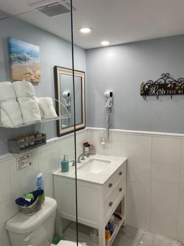 a bathroom with a sink and a toilet at Lovely rental unit with independent entrance apt # 1 in Tampa