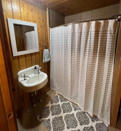 a bathroom with a sink and a shower curtain at Athens and Albany's Hillside Haven - peaceful, private, pet friendly in Albany