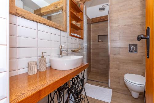 a bathroom with a sink and a toilet at Hedgehog's Home in Korenica