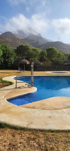 - une piscine avec un parasol et une chaise dans l'établissement Complejo Rural Los Pedregales Estepona, à Estepona