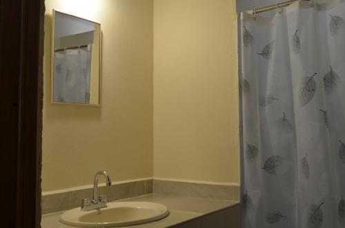 La salle de bains est pourvue d'un lavabo et d'un rideau de douche. dans l'établissement Casa Shanti Oaxaca, à Oaxaca