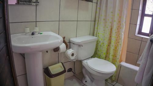 a small bathroom with a toilet and a sink at Lizzy Wasi Urubamba in Urubamba