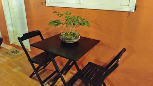 a black table with a potted plant on it at XIQUE XIQUE ITAUNAS HOSPEDARIA in Itaúnas