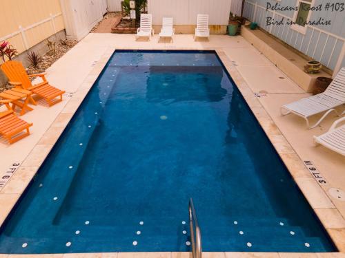 - une piscine avec des chaises et de l'eau bleue dans l'établissement Bird in Paradise, à Port Aransas
