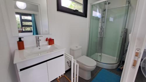 La salle de bains est pourvue d'une douche, d'un lavabo et de toilettes. dans l'établissement TAHITI ITI - Bungalow O Spot Teahupoo, à Teahupoo