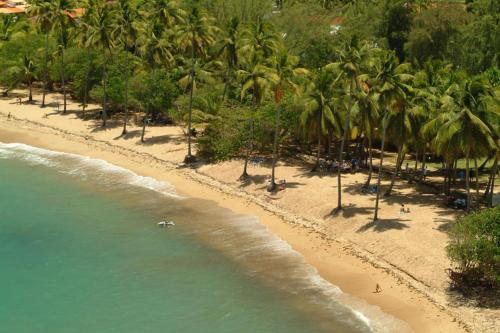 a beach with palm trees and people swimming in the water at chambre climatisée avec bureau in Saint-Joseph