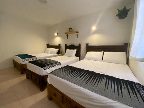 a room with three beds in a room at Casa Venus in San Cristóbal de Las Casas
