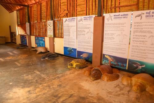 Imagen de la galería de Rekawa Turtle Gate Hotel, en Tangalle
