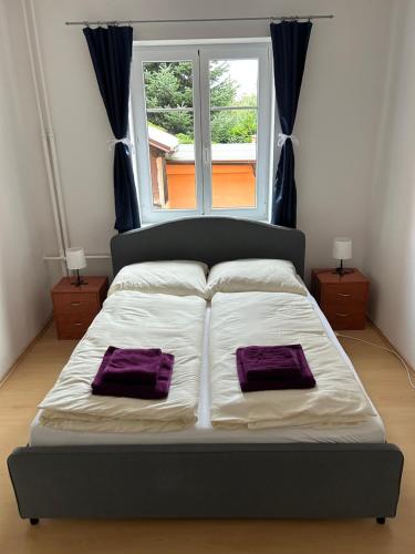 フラデツ・クラーロヴェーにあるApartmán 3 + kk blízko centraの窓際のベッド(紫色の枕2つ付)