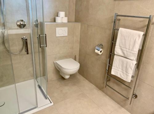 La salle de bains est pourvue d'une douche et de toilettes. dans l'établissement Appartement Naturbunt, à Söll