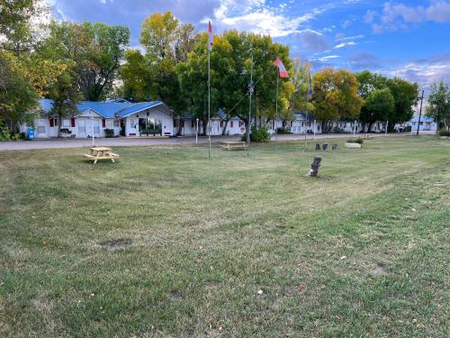 a park with picnic tables and a cat in the grass at Bluebird Motel in Claresholm