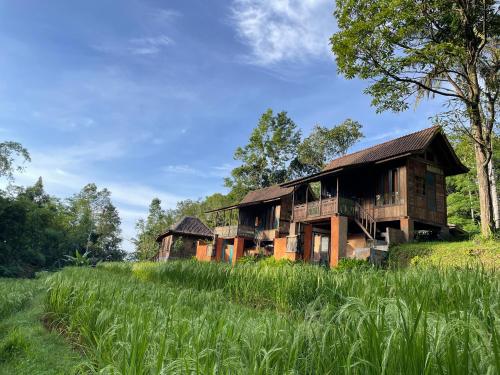 a large wooden house in a field of grass at Oemah Tepi Sawah in Jatiluwih