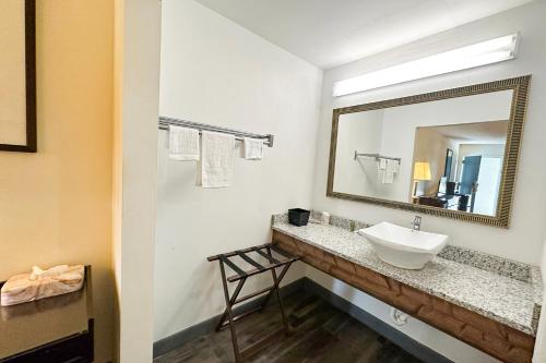 ein Bad mit einem Waschbecken und einem Spiegel in der Unterkunft Executive Inn By OYO Ridgeway I-77 in Ridgeway