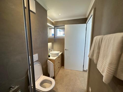 La petite salle de bains est pourvue de toilettes et d'un lavabo. dans l'établissement John's Lodge, à Les Collons