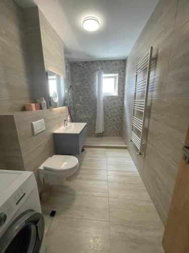 ein Bad mit einem WC und einem Waschbecken in der Unterkunft Lilo HOME in Sibiu