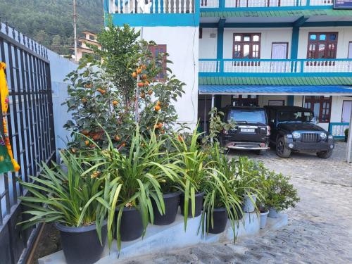 Zahrada ubytování Wangdis Homestay