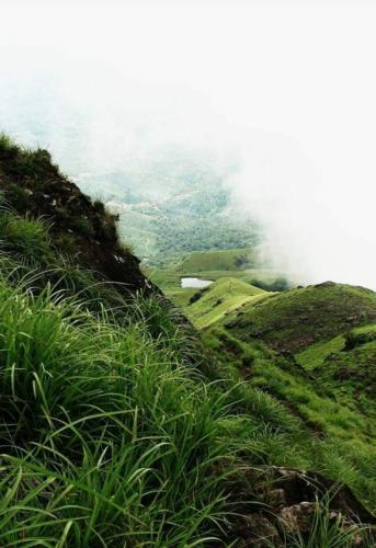 a grassy hill with a view of a foggy valley at Puzhayoram home stay, Palakkuli, Mananthavadi wayanad kerala in Mananthavady