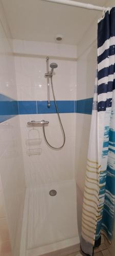 a bathroom with a shower with a shower curtain at Couloumine breizh in Saint-Aignan