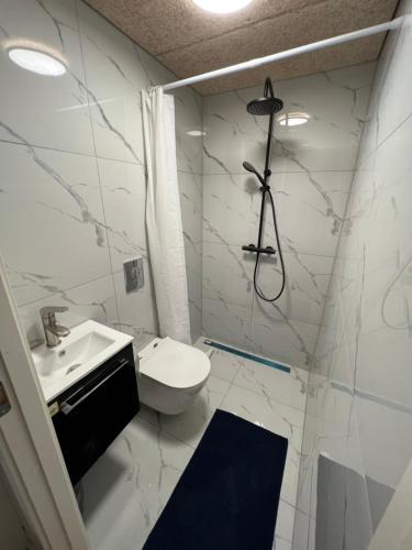 een badkamer met een toilet, een wastafel en een douche bij The Italian House 2 in Aalborg
