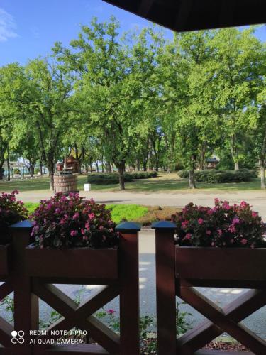Сад в Jezero apartman privatnost