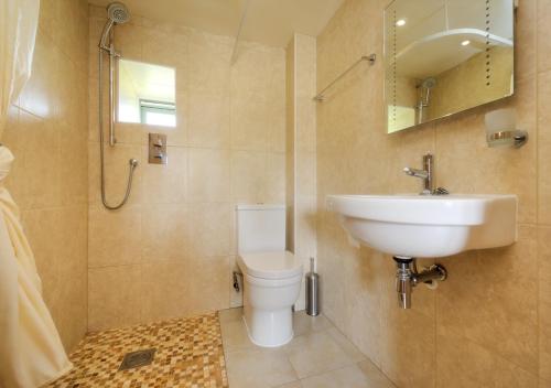 Ty Cam في أبيرداريون: حمام مع حوض ومرحاض ومرآة