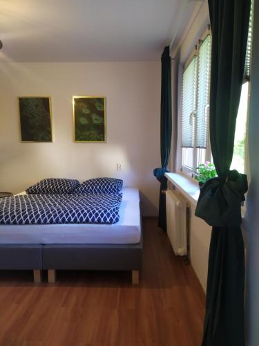 Un dormitorio con una cama con sábanas azules y una ventana. en Good Morning Piaskowa Góra, en Wałbrzych