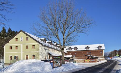 un árbol en la nieve frente a un edificio en Penzion Terezka, en Dolní Morava