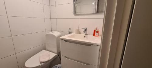 Koupelna v ubytování lägenhet