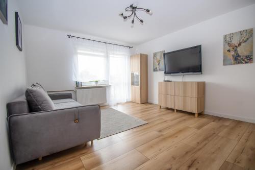 Μια τηλεόραση ή/και κέντρο ψυχαγωγίας στο Apartament przy Zdrojowej