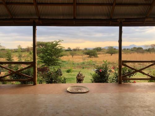 a view of a field from a room with a table at Jua Manyara Lodge & Camp Site in Mto wa Mbu