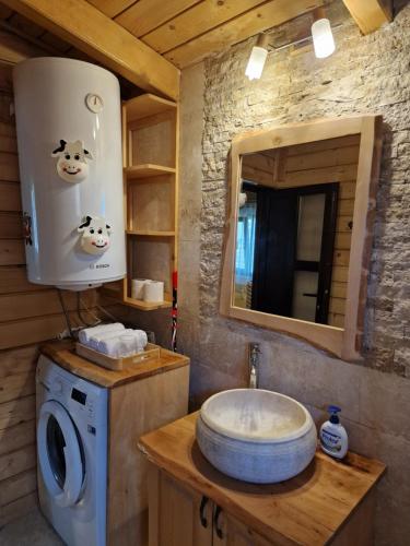 a bathroom with a washing machine and a sink at Casuta de vacanta Danuț&Erin in Târgu Jiu