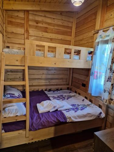 a bedroom with two bunk beds in a cabin at Casuta de vacanta Danuț&Erin in Târgu Jiu