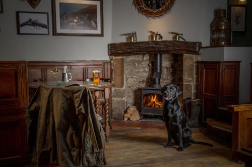 伯恩索爾的住宿－The Red Lion & Manor House，坐在壁炉前的一只黑狗