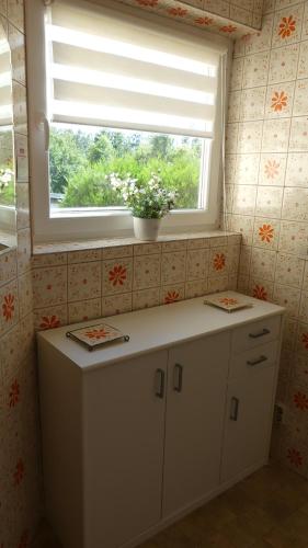 eine Küche mit einem Fenster und einer Theke mit einer Pflanze in der Unterkunft Ferienwohnung Manta in Dillingen an der Saar