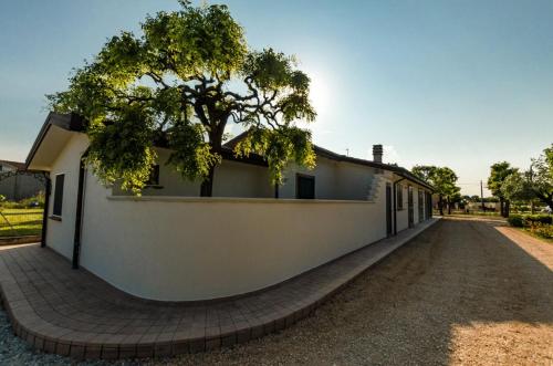 a white building with a tree on the side of it at AMNESIA VILLAS in Borghetto