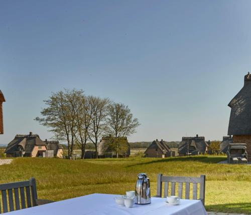a white table with two chairs and a field with houses at Reetdorf Geltinger Birk Künstlerkate Sandkoppel in Nieby