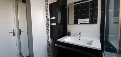 uma casa de banho com um lavatório e um espelho em Chambre chez l'habitant - Appartement lumineux - Gare à 2 arrêts de tram em Fleury-les-Aubrais