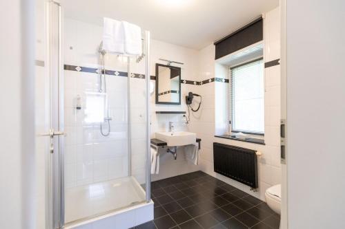 La salle de bains est pourvue d'une douche et d'un lavabo. dans l'établissement Hof de Draeck Apart, à Fourons