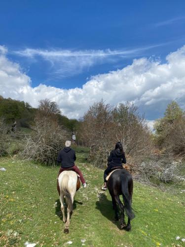 two people riding on horses in a field at Agriturismo Maneggio Vallecupa in Pescasseroli