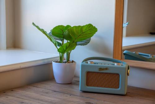 Eine Pflanze in einem Topf neben einem kleinen Radio in der Unterkunft Duke of Cumberland in Whitstable